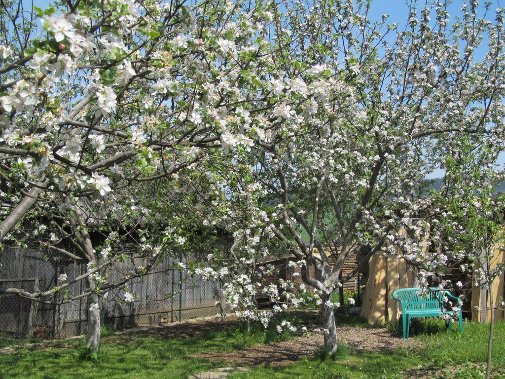 Privat Lubka Zuberec Exterior foto